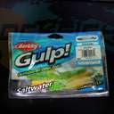 Berkley Gulp Pulse Worm 3.2'/8cm/AKG