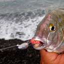 Джиг-головка Rockfish Jig Seed Head 1.5g