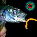 Силиконовая приманка Rockfish Bait Sea Worm 6.2cm/10PAL