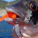 Джиг-головка Rockfish Jig Seed Head 1.5g