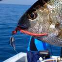 Джиг-головка Rockfish Jig Rover Head 1.5g