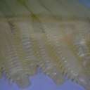 Силиконовая приманка Rockfish Bait Sea Worm 6.2cm/P4