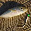 Силиконовая приманка Rockfish Bait Dancing Ball 4.2cm/28