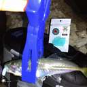 Силиконовая приманка Rockfish Bait Mutant 5cm/10 Glow