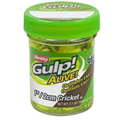 Berkley Gulp Alive Cricket 1'/BR. Berkley Gulp Alive Cricket 1'/BR